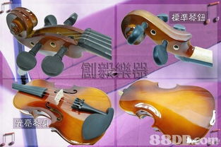 創(chuàng)毅樂器 您的樂器批發(fā)與零售首選