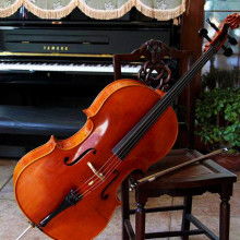 泰興市韻音樂器廠 專業(yè)樂器零售，專注提琴品質(zhì)